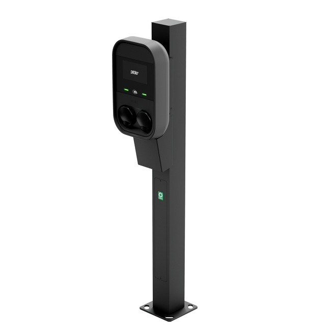 OnePole Pro montagepaal voor Peblar Dual – 1 Peblar Dual